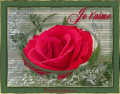 joyeux saint-valentin